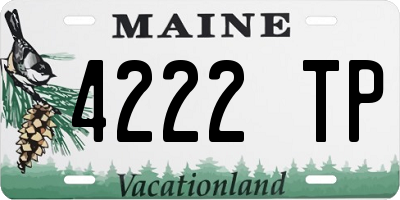 ME license plate 4222TP