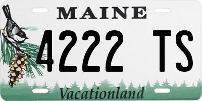 ME license plate 4222TS
