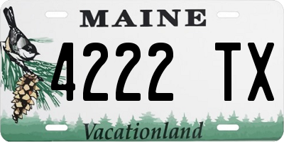 ME license plate 4222TX