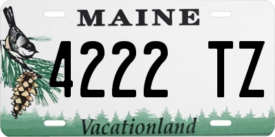 ME license plate 4222TZ