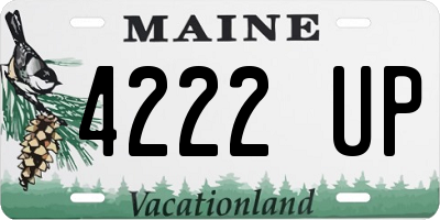 ME license plate 4222UP
