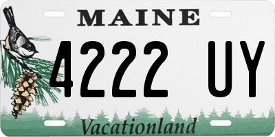 ME license plate 4222UY