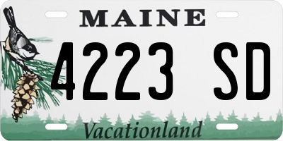 ME license plate 4223SD