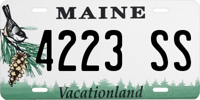 ME license plate 4223SS