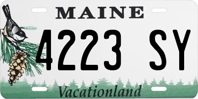 ME license plate 4223SY