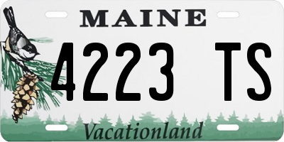 ME license plate 4223TS