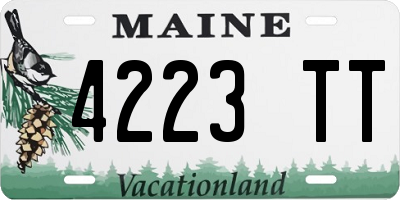 ME license plate 4223TT