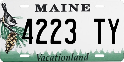 ME license plate 4223TY