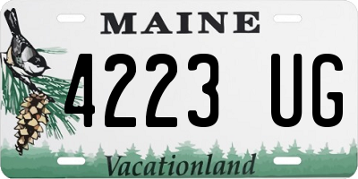 ME license plate 4223UG