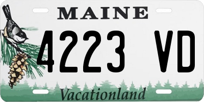 ME license plate 4223VD