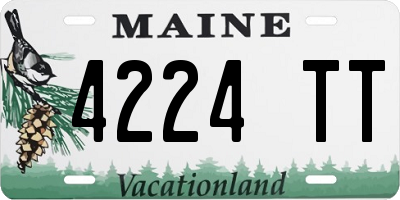 ME license plate 4224TT