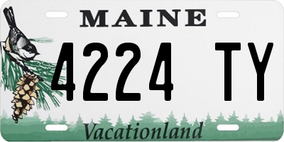 ME license plate 4224TY