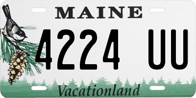 ME license plate 4224UU