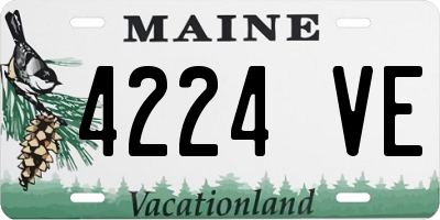 ME license plate 4224VE