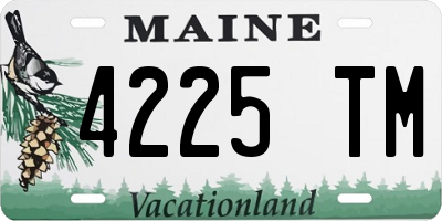 ME license plate 4225TM