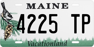 ME license plate 4225TP