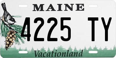 ME license plate 4225TY