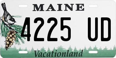 ME license plate 4225UD