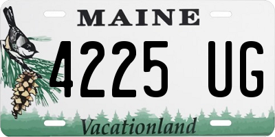 ME license plate 4225UG