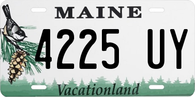 ME license plate 4225UY