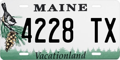 ME license plate 4228TX