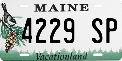 ME license plate 4229SP