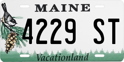 ME license plate 4229ST