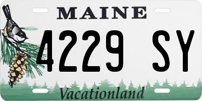 ME license plate 4229SY