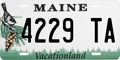 ME license plate 4229TA
