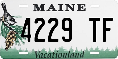ME license plate 4229TF