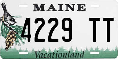 ME license plate 4229TT