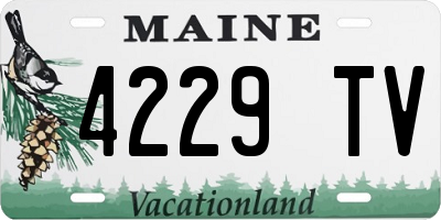 ME license plate 4229TV