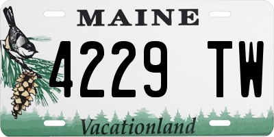 ME license plate 4229TW
