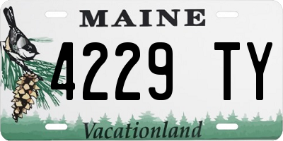 ME license plate 4229TY