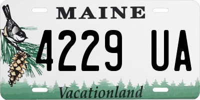 ME license plate 4229UA