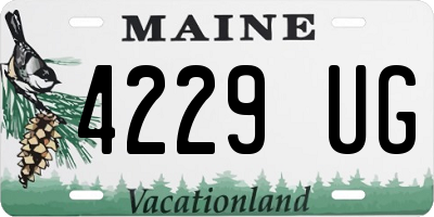ME license plate 4229UG