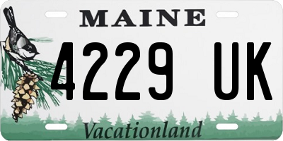 ME license plate 4229UK