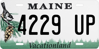 ME license plate 4229UP