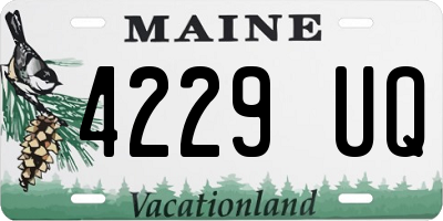ME license plate 4229UQ