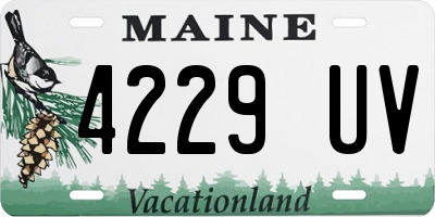 ME license plate 4229UV