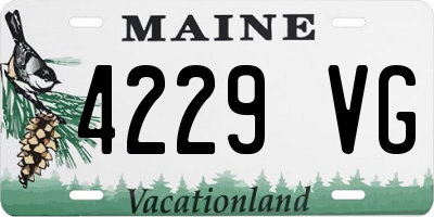 ME license plate 4229VG