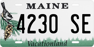 ME license plate 4230SE