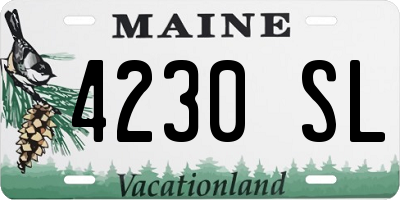 ME license plate 4230SL