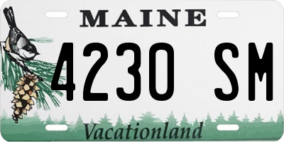 ME license plate 4230SM