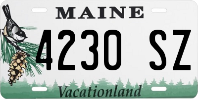 ME license plate 4230SZ