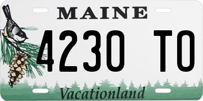 ME license plate 4230TO