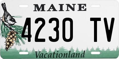 ME license plate 4230TV
