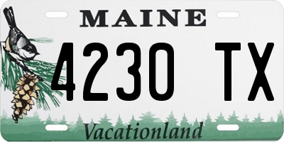ME license plate 4230TX
