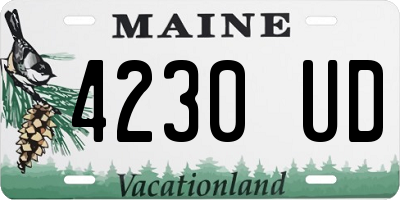 ME license plate 4230UD