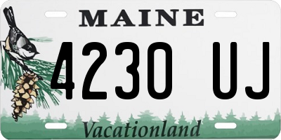 ME license plate 4230UJ